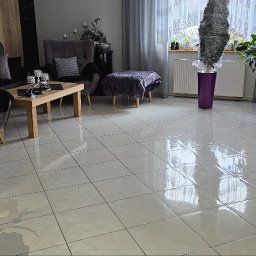 CZYSTY DOM I SAMOCHÓD - MARCIN KWAPISZ - Jasna, błyszcząca podłoga z płytek w przestronnym salonie z szarymi meblami, kwiatami w doniczkach i dekoracjami.