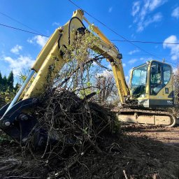 Szymon Czysz - Żółta koparka Hyundai 55-9 w trakcie karczowania terenu, z gałęziami w łyżce, na tle błękitnego nieba. Widoczne ślady pracy w postaci błota i naruszonej ziemi.
