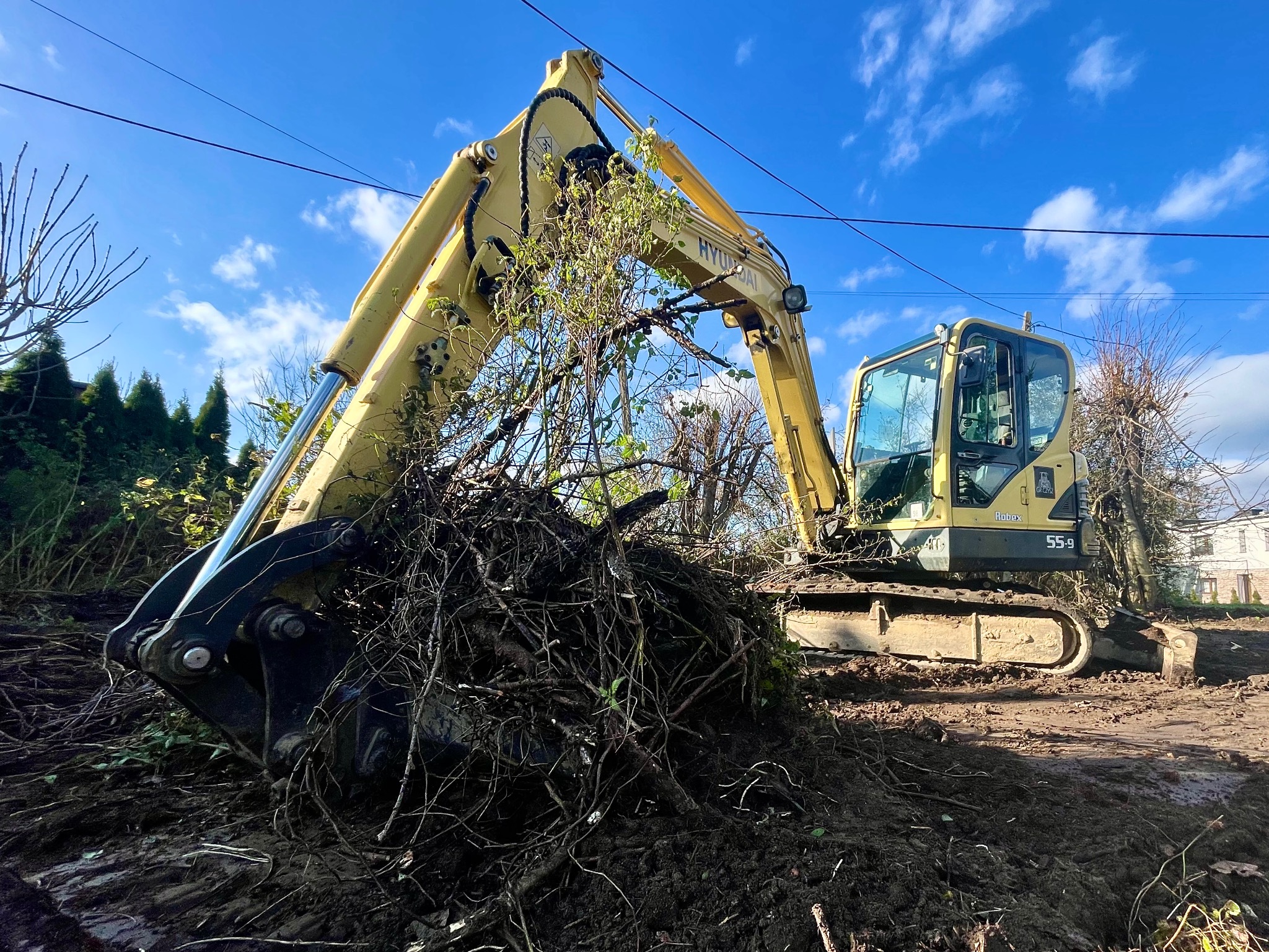 Żółta koparka Hyundai 55-9 w trakcie karczowania terenu, z gałęziami w łyżce, na tle błękitnego nieba. Widoczne ślady pracy w postaci błota i naruszonej ziemi.