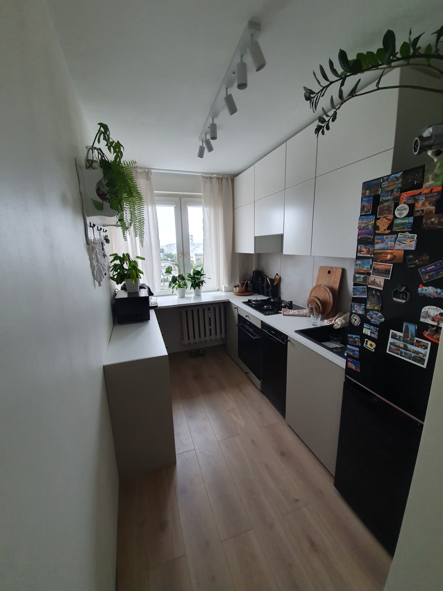 Wąskie ujęcie jasnej kuchni z drewnianą podłogą, białymi szafkami i czarną lodówką ozdobioną magnesami z podróży, oświetloną listwą reflektorów i z roślinami doniczkowymi przy oknie.