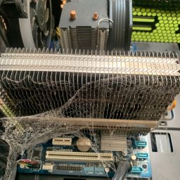 Serwis komputera, konserwacja wraz z naprawą systemu z zachowaniem danych 