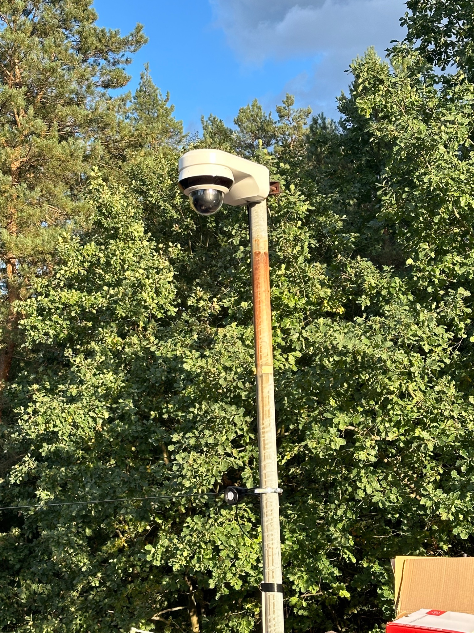 Kamera monitoringu PTZ zamontowana na metalowym słupie z widocznymi śladami korozji, na tle gęstych drzew liściastych i fragmentu błękitnego nieba.