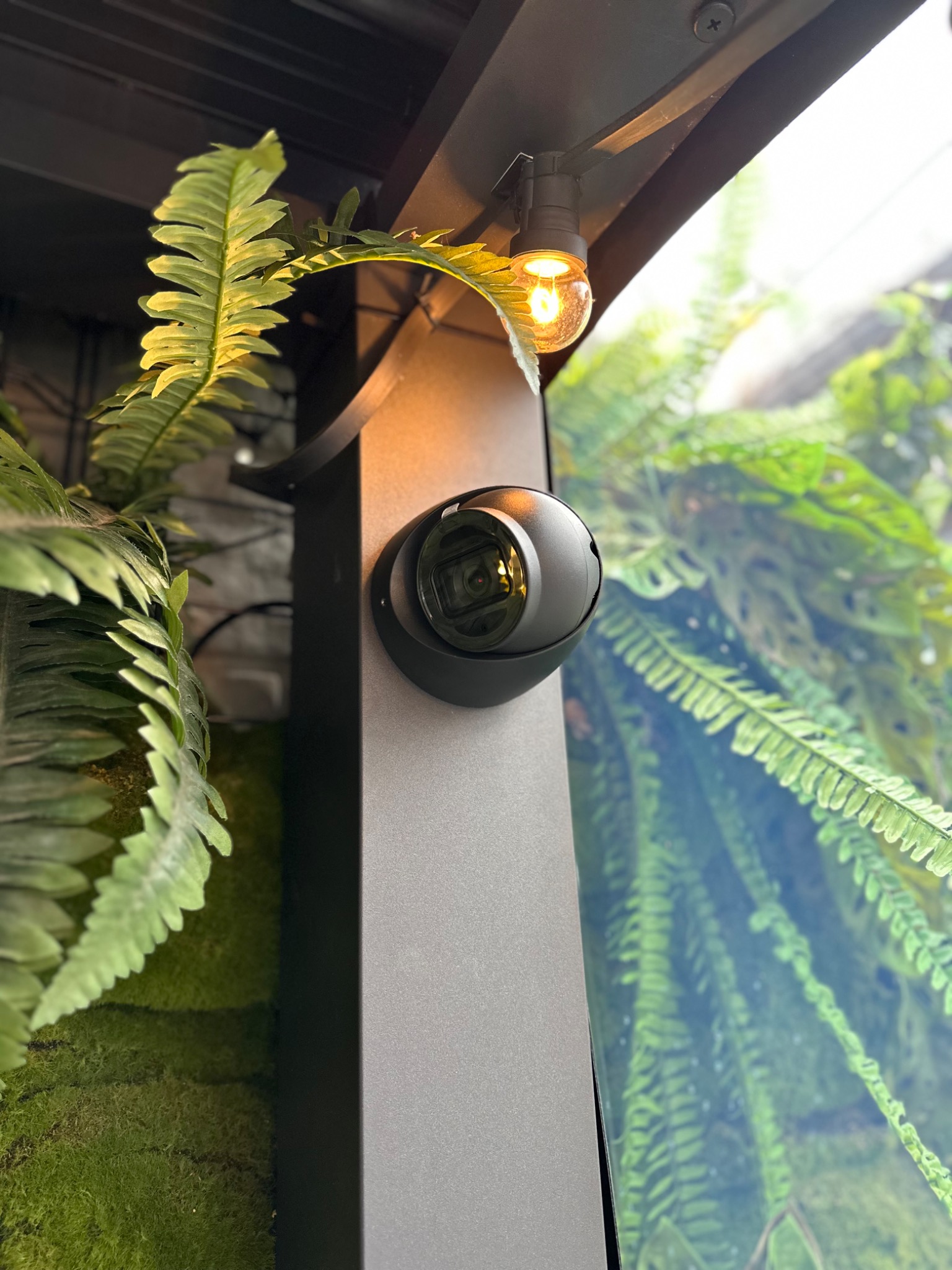 Kamera kopułkowa w szarej obudowie, zamontowana na czarnym słupku, oświetlona ciepłym światłem żarówki, z zielonymi roślinami w tle.