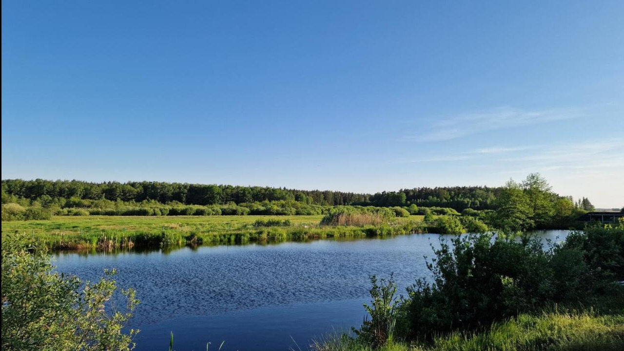 Spokojny krajobraz: błękitne jezioro otoczone zieloną łąką i lasem pod bezchmurnym niebem.