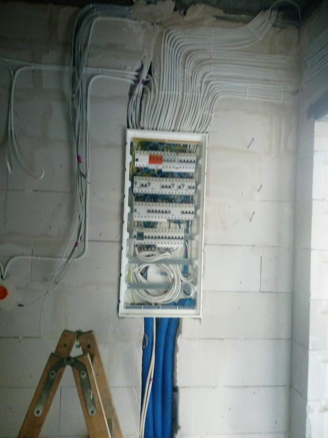 Rozdzielnica elektryczna w stanie surowym, widoczne liczne przewody w białych peszlach, niebieskie rury karbowane oraz drabina drewniana.