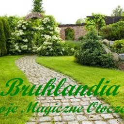 Bruklandia - Melioracja Wrocław