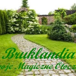 Bruklandia - Twoje Magiczne Otoczenie.