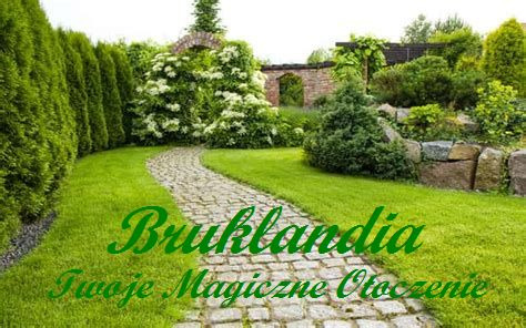 Bruklandia - Twoje Magiczne Otoczenie.