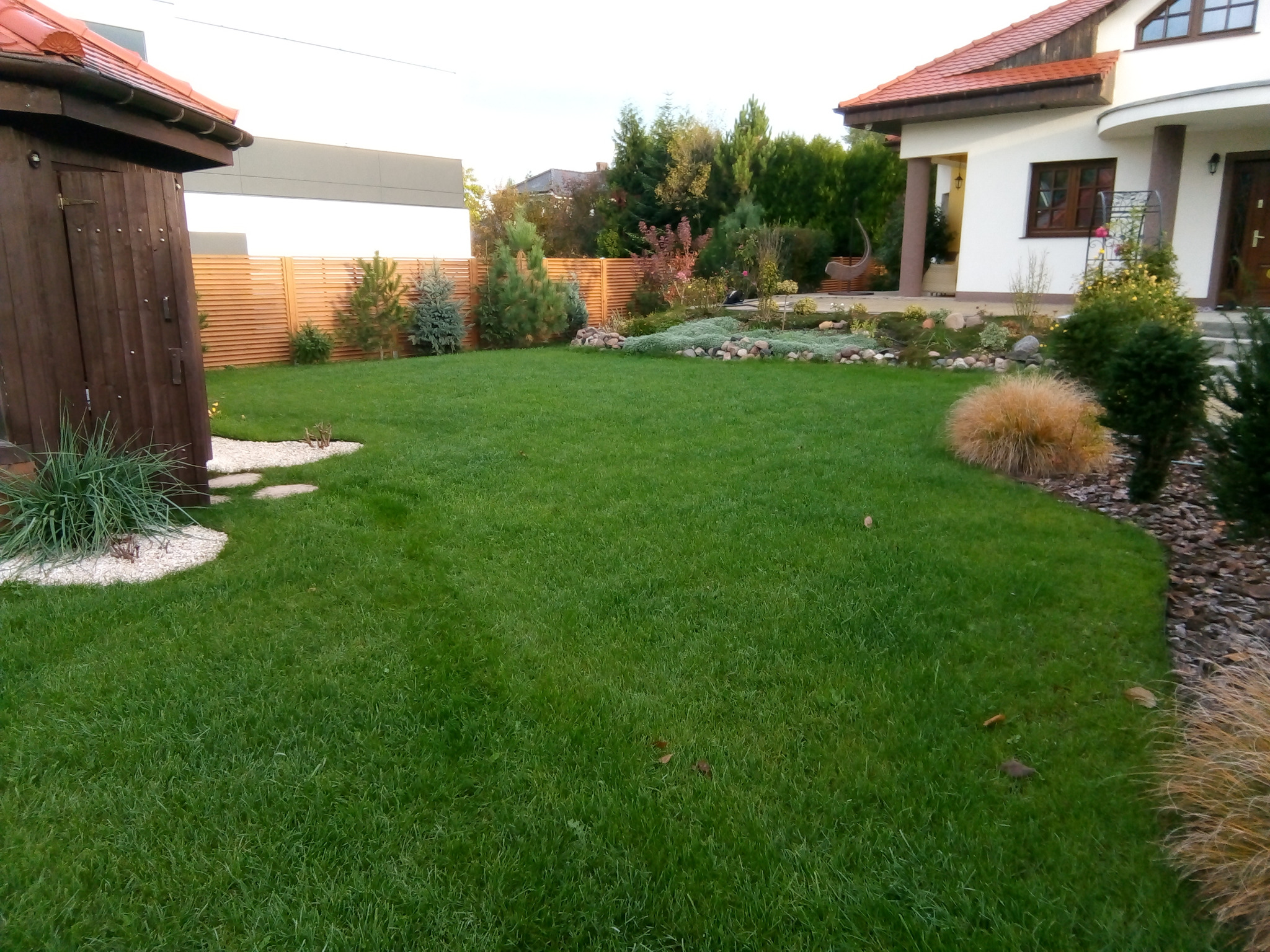 Trawnik z siewu na ogrodzie letnim po realizacji.