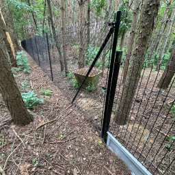 GARD Systemy Ogrodzeniowe Łukasz Zaręba - Czarna siatka ogrodzeniowa w lesie, widok z bliska na słupki i fragment betonowej podmurówki. W tle drzewa i ściółka leśna. Ochrona terenu.