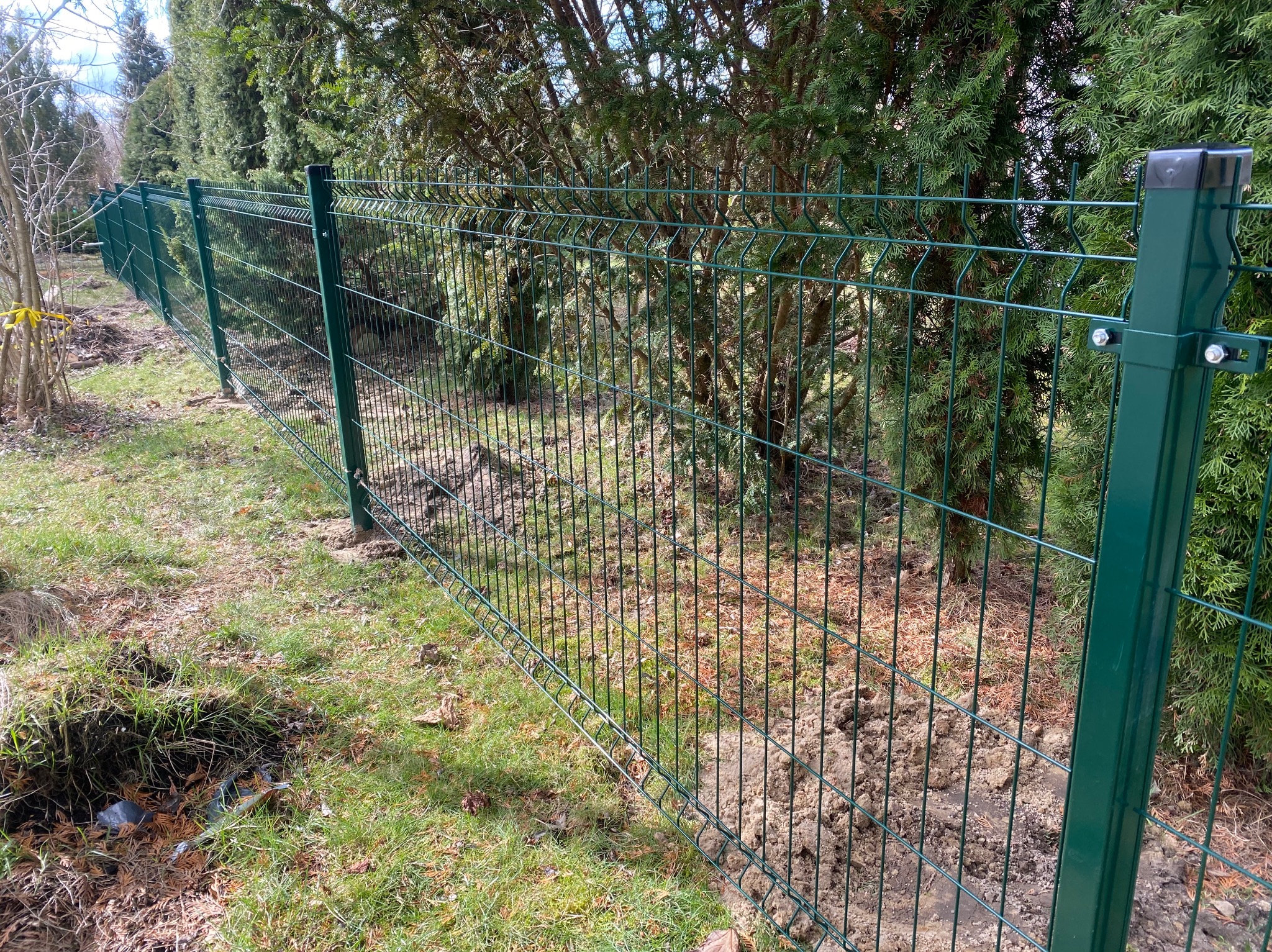 Zielone ogrodzenie panelowe na trawiastym terenie, z widocznymi słupkami i siatką na tle drzew iglastych. Ujęcie z niskiej perspektywy podkreśla linię ogrodzenia.