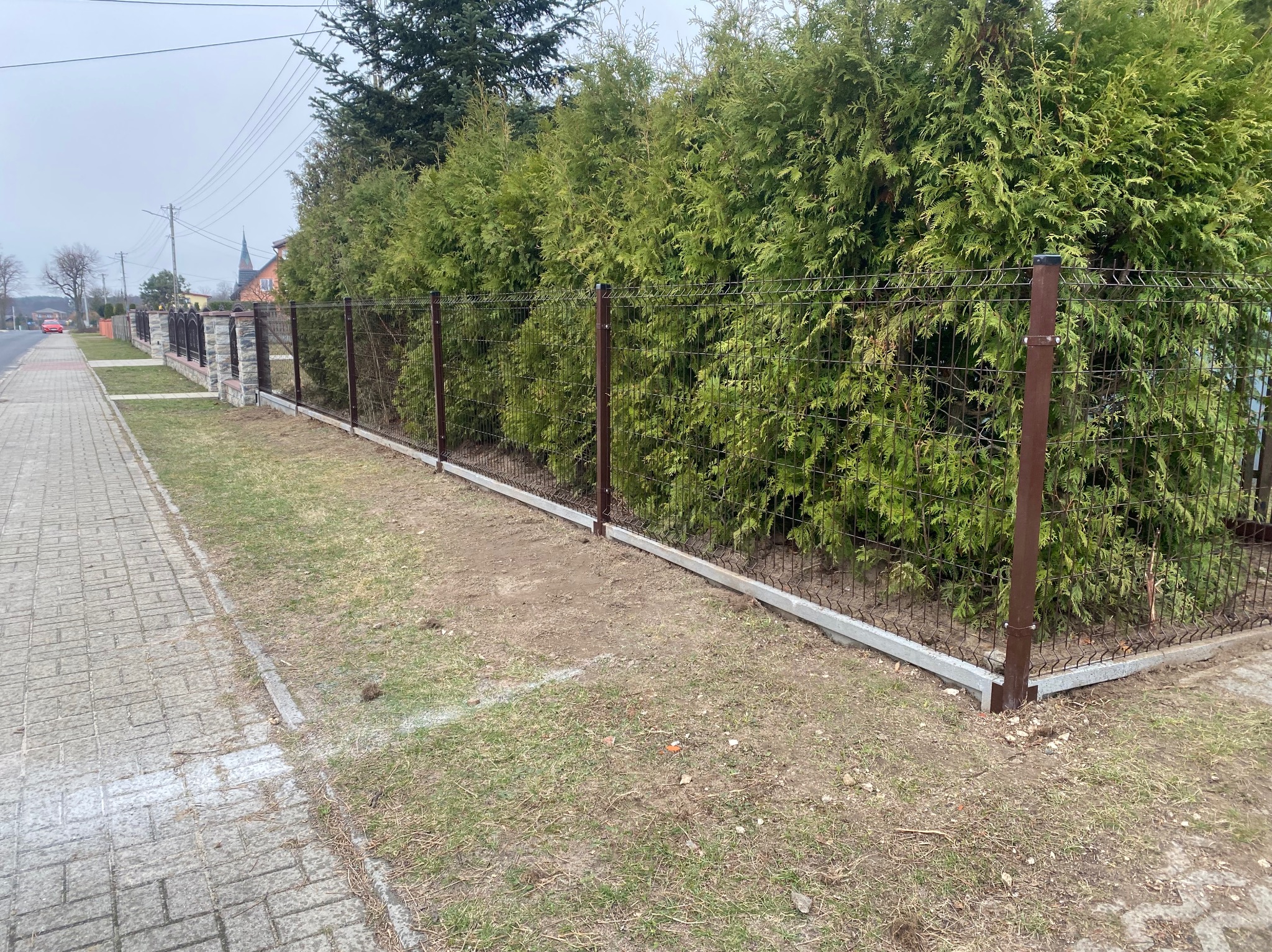 Brązowe ogrodzenie panelowe z podmurówką betonową, oddzielające posesję od chodnika, z tujami w tle. Widok z perspektywy przechodnia.