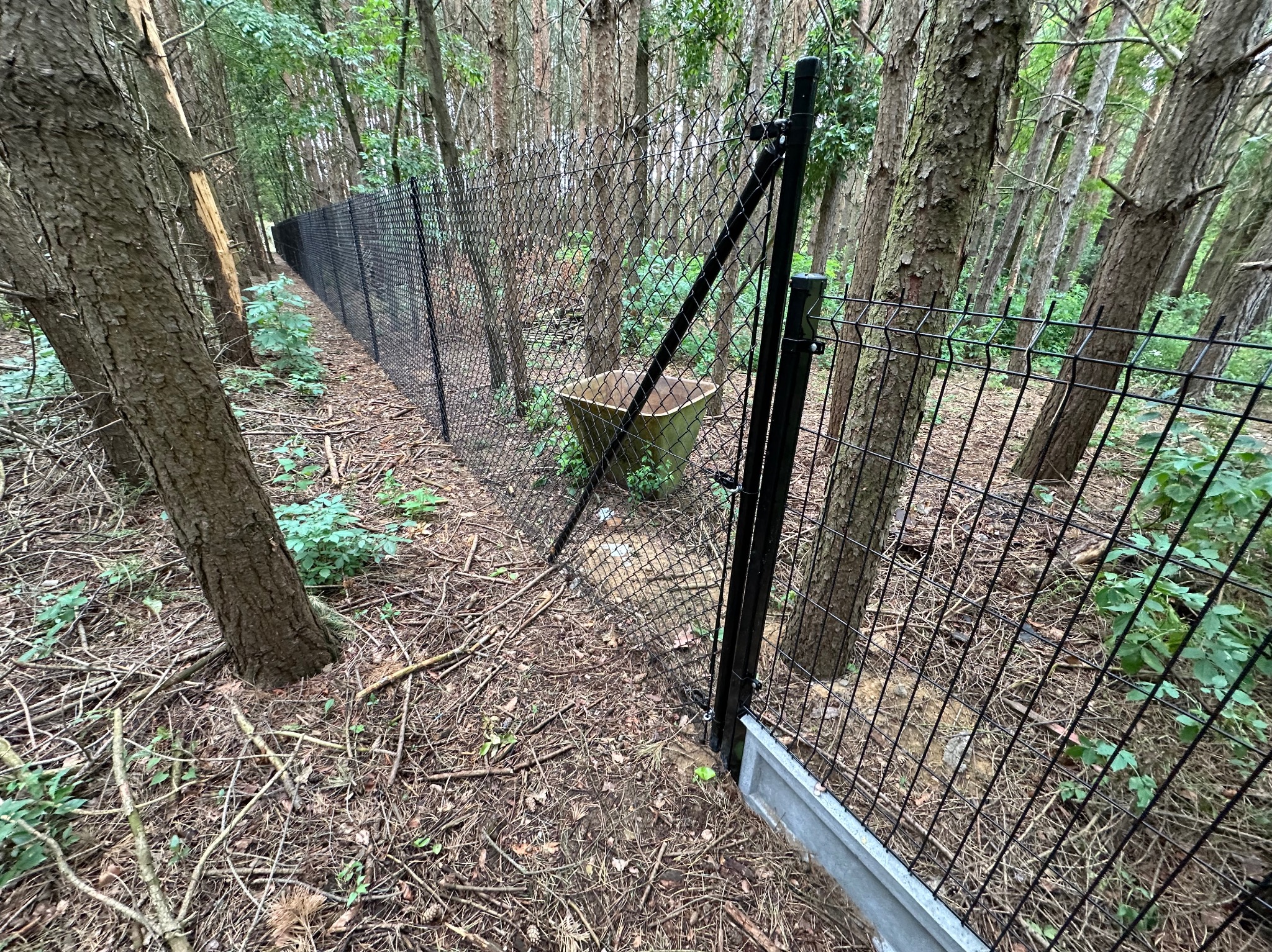Czarna siatka ogrodzeniowa w lesie, widok z bliska na słupki i fragment betonowej podmurówki. W tle drzewa i ściółka leśna. Ochrona terenu.