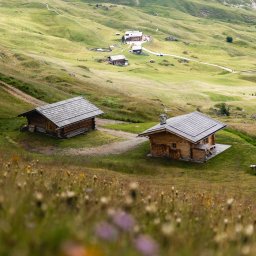 Leo Test test - Reklama Online wrocław