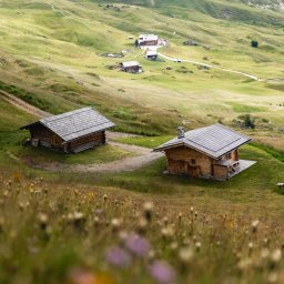 Projektowanie logo wrocław 1