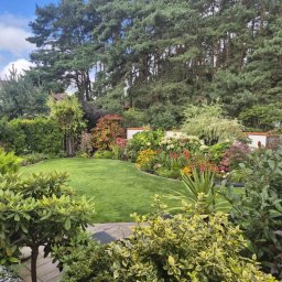 Projektowanie ogrodów Banino 2