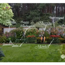 Plan ogrodu z zaznaczonymi nazwami roślin: tawuła, trawa bambusowa, kłosowiec, rudbekia, zawilec, juka, jeżówka. Projekt ogrodu z różnorodną roślinnością.