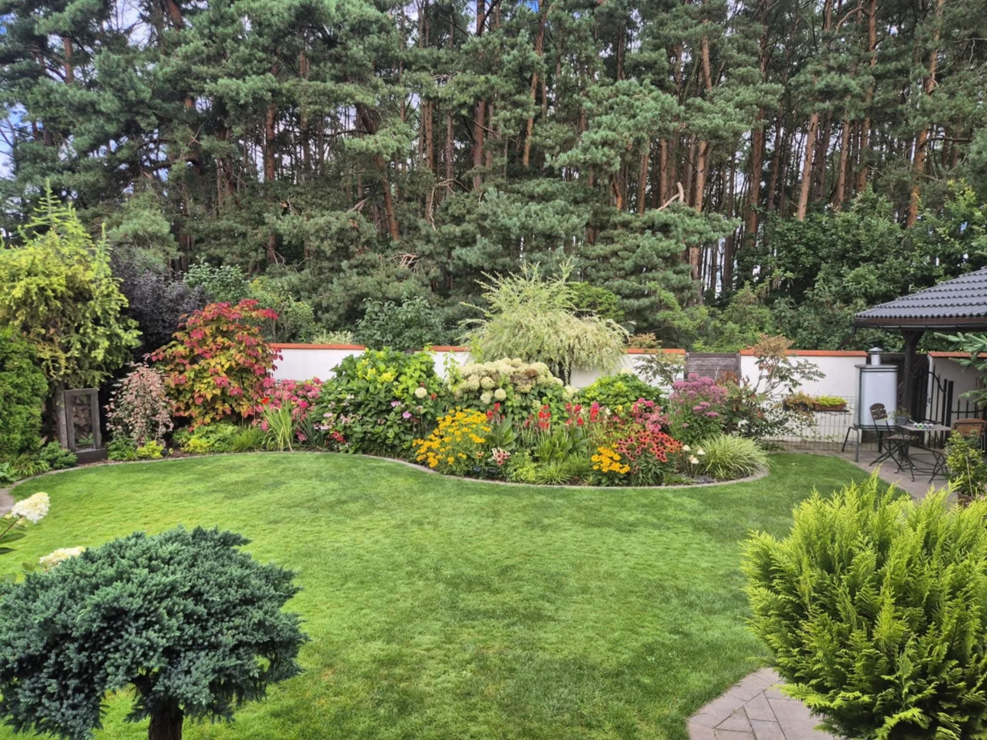 Projekt ogrodu z równo przystrzyżonym trawnikiem, rabatami kwiatowymi wzdłuż muru i różnorodnymi drzewami iglastymi w tle. Widoczne elementy architektury ogrodowej.