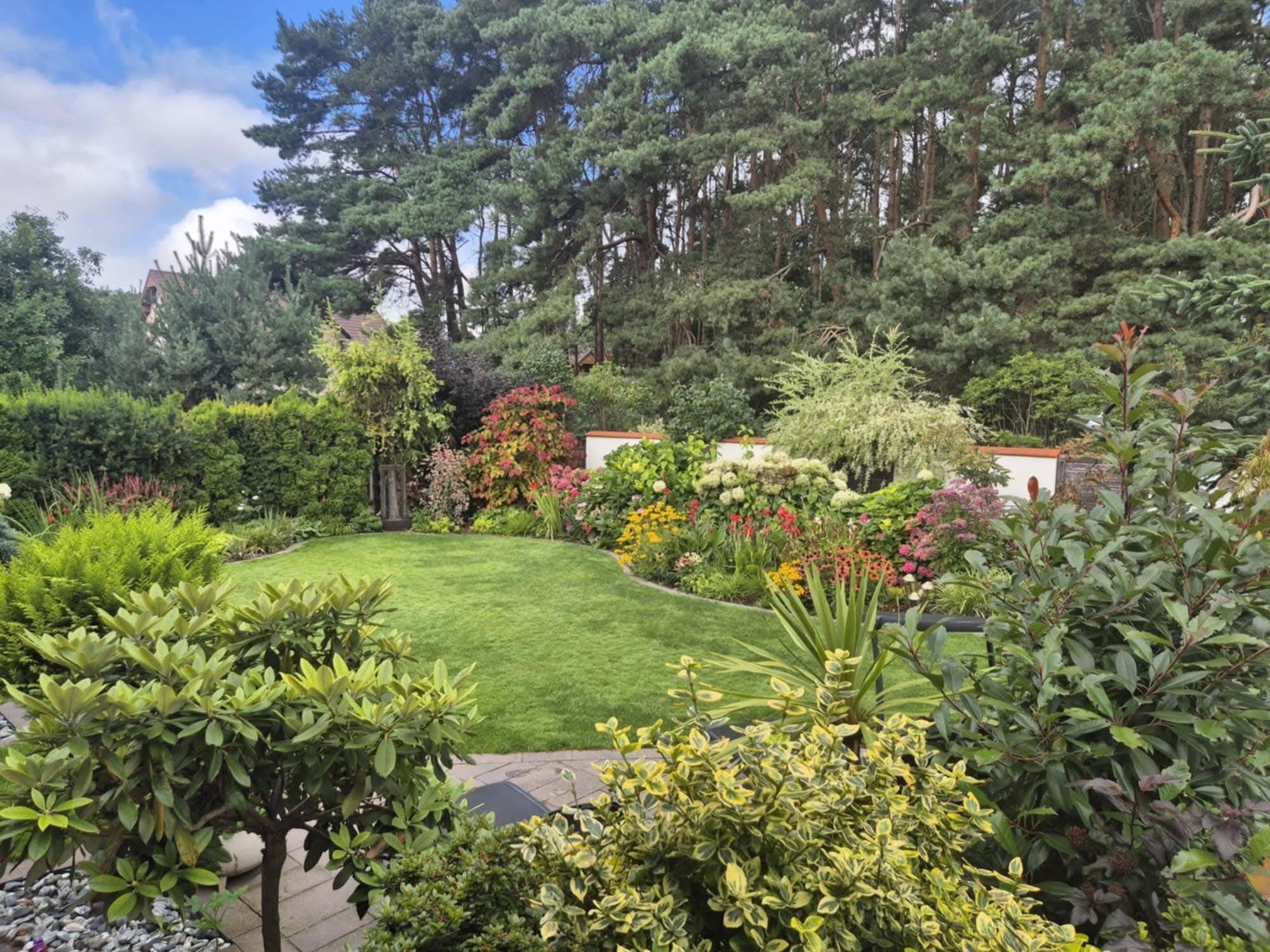 Zadbany ogród z równo przystrzyżonym trawnikiem, kolorowymi rabatami kwiatowymi i ozdobnymi krzewami na tle wysokich drzew iglastych i białego murku.