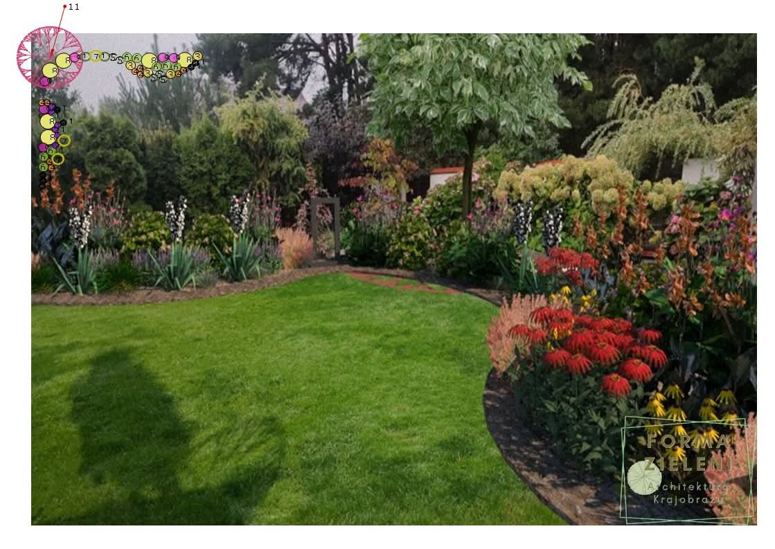Projekt ogrodu z zielonym trawnikiem, rabatami kwiatowymi w odcieniach czerwieni i bieli oraz drzewami. W lewym górnym rogu schemat sadzenia.