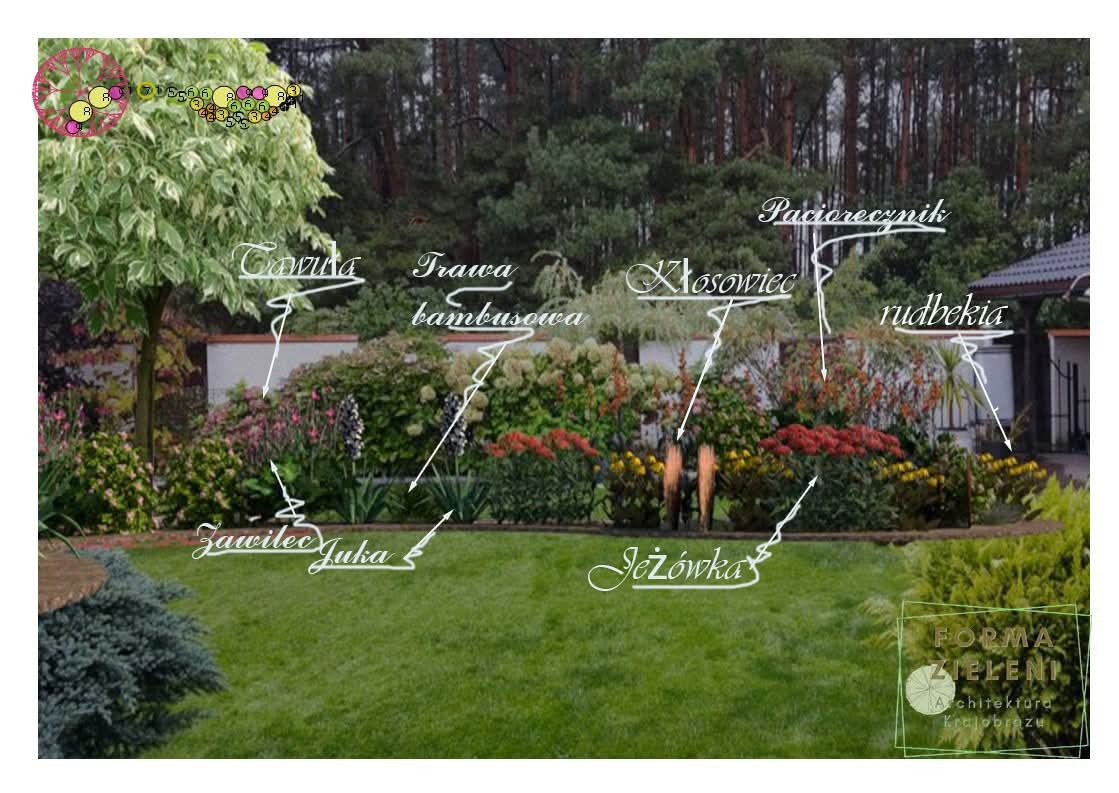 Plan ogrodu z zaznaczonymi nazwami roślin: tawuła, trawa bambusowa, kłosowiec, rudbekia, zawilec, juka, jeżówka. Projekt ogrodu z różnorodną roślinnością.