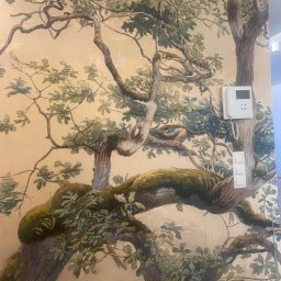 Igor Martsynkovskyi - Malowidło ścienne przedstawiające rozłożyste drzewo z mchem na gałęziach, na tle beżowej ściany z widocznym panelem domofonu i włącznikami światła.