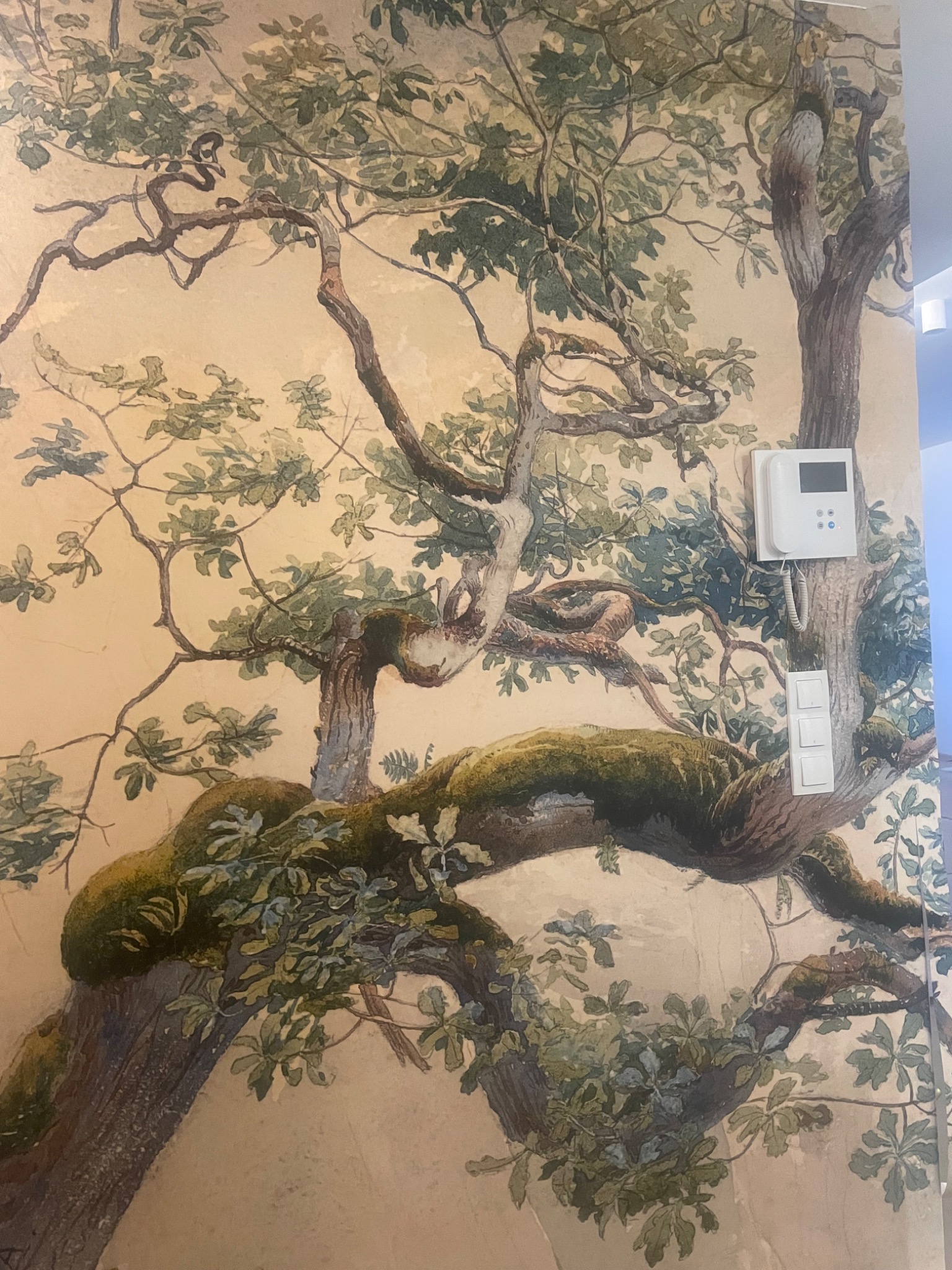 Malowidło ścienne przedstawiające rozłożyste drzewo z mchem na gałęziach, na tle beżowej ściany z widocznym panelem domofonu i włącznikami światła.