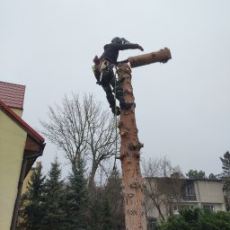 "MDNT" - Trawniki Wrocław