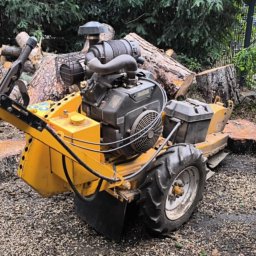 Wycinka drzew Wrocław 2