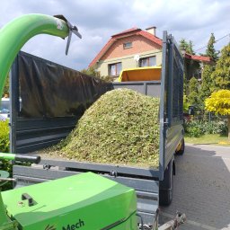 Wycinka drzew Wrocław 3