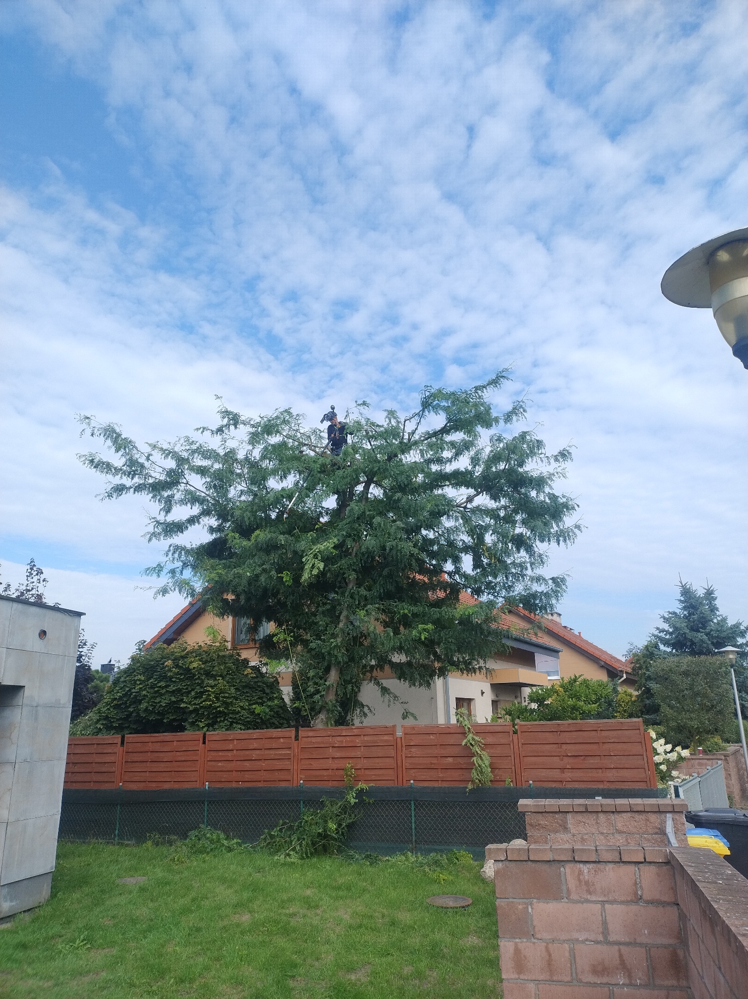 Pracownik na wysokim drzewie podczas przycinania gałęzi. W tle dom z czerwonym dachem i błękitne niebo z chmurami. Widoczne ogrodzenie i fragment trawnika.