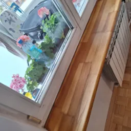 Drewniany parapet z widocznymi słojami, obok grzejnik. Na parapecie kwiaty w doniczce i butelka wody. W tle okno z widokiem na budynek.