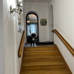 Volodymyr Pasichnyk - Drewniane schody w jasnym korytarzu z psem w kołnierzu ochronnym na górze. Na ścianie kinkiet z kryształkami. Widok na drzwi i obraz w tle.