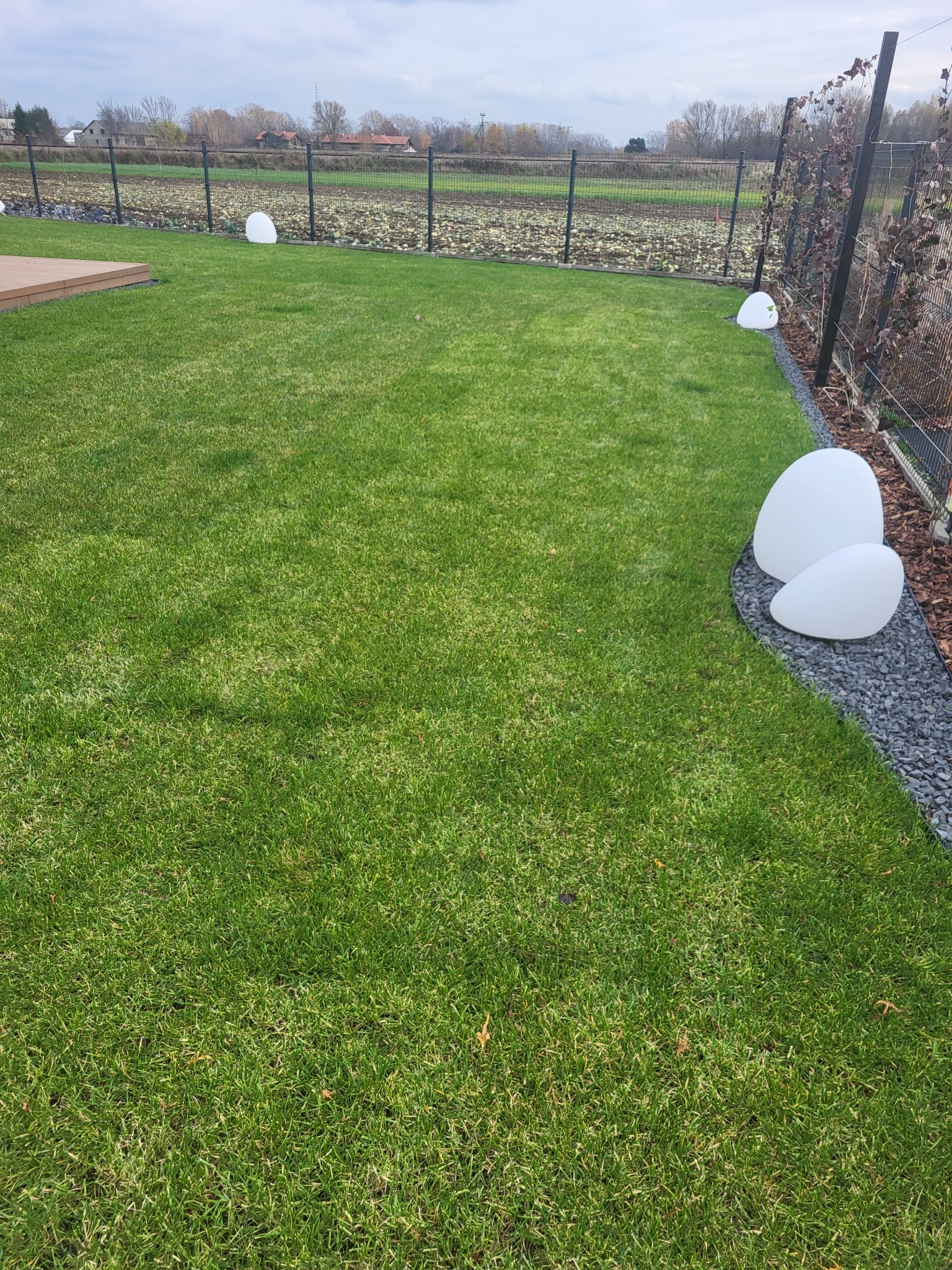 Świeżo założony trawnik z rolki, oświetlony trzema białymi lampami ogrodowymi w kształcie kamieni, obrzeże z ciemnego grysu, siatka ogrodzeniowa w tle.