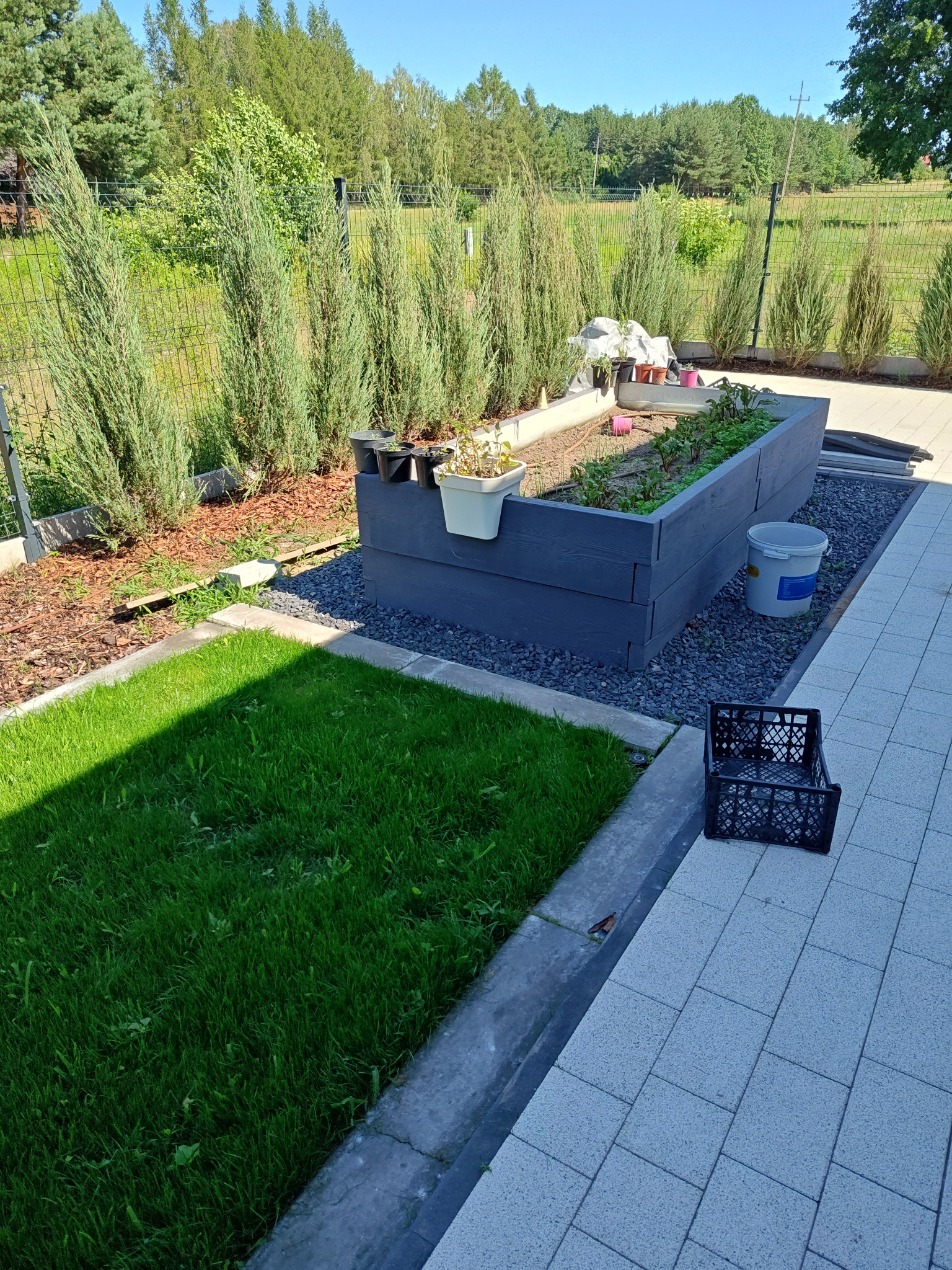 Podwyższona rabata z warzywami w szarej obudowie z desek, otoczona ozdobnym żwirem, z tujami w tle i skrzynką oraz wiadrem obok, na tle kostki brukowej.