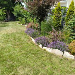 Koszenie trawy Warszawa 1