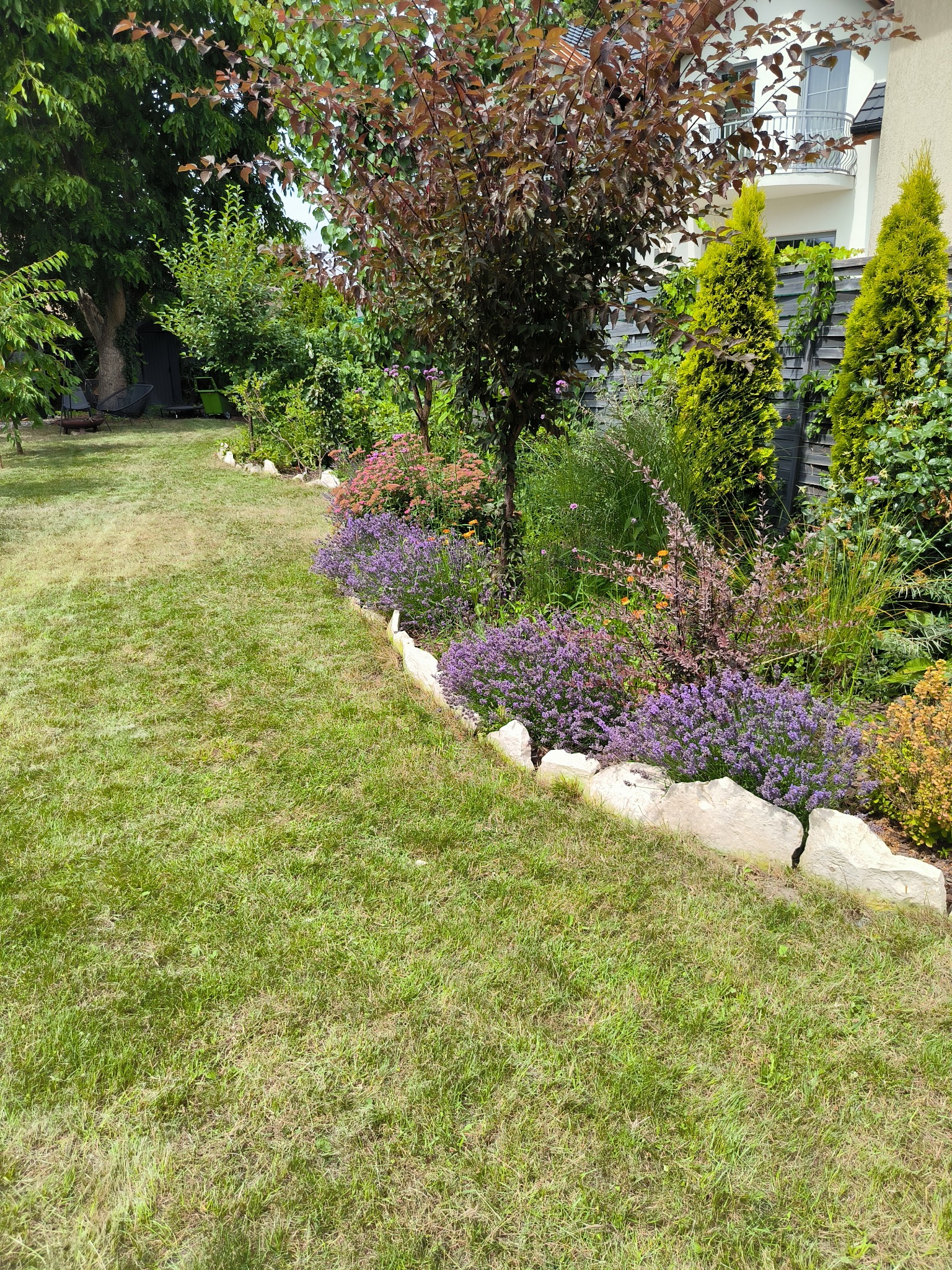 Utrzymany trawnik z obrzeżem z jasnych kamieni, rabata z kwitnącymi fioletowymi kwiatami i różnorodną roślinnością ozdobną, w tle drzewa i fragment domu.