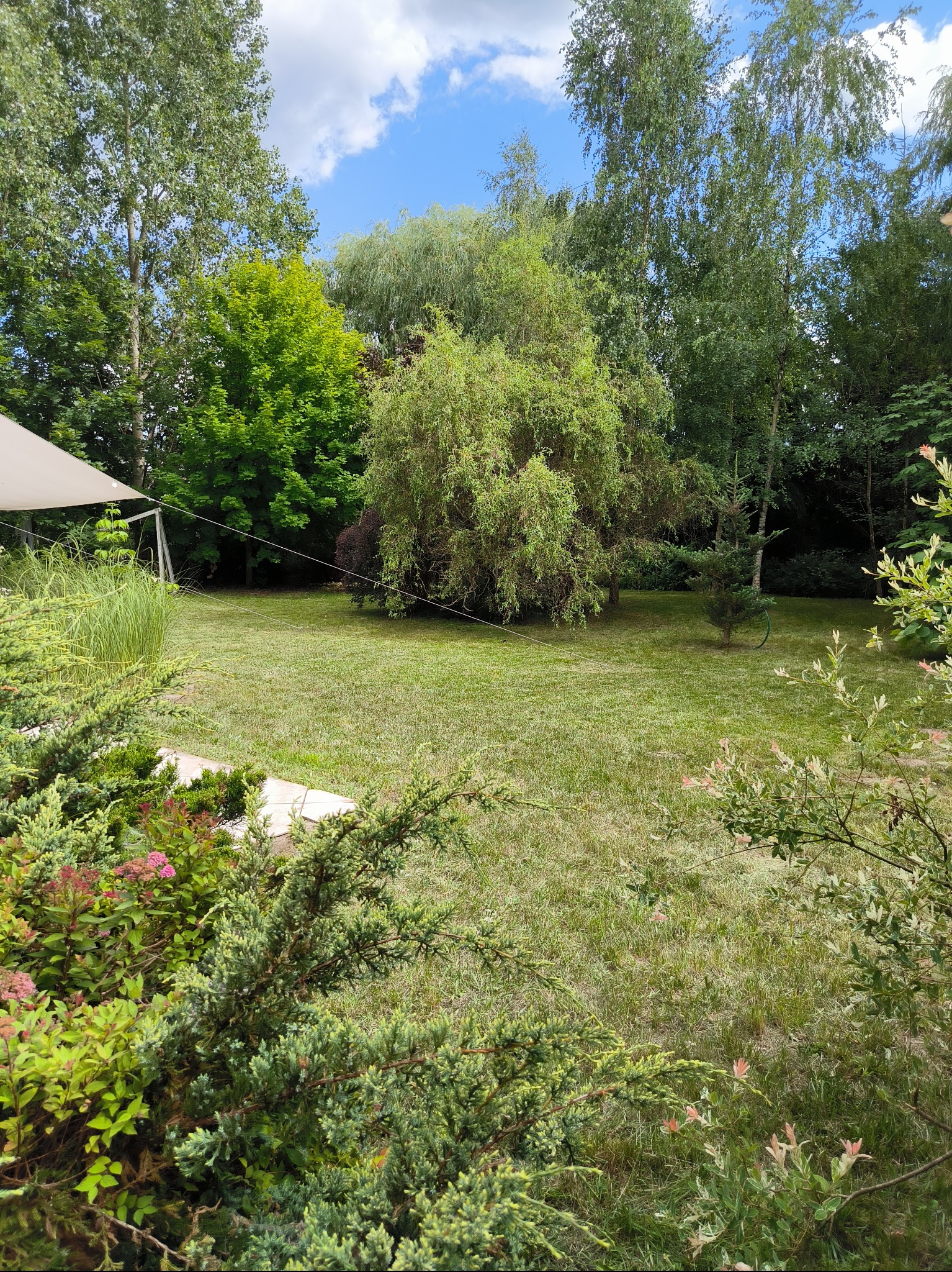 Rozległy, zielony trawnik z różnorodnymi drzewami i krzewami ozdobnymi w tle, z widocznym fragmentem konstrukcji zadaszenia po lewej stronie, sugerujący przestrzeń rekreacyjną.