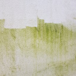 Podnośnik koszowy Włocławek 4