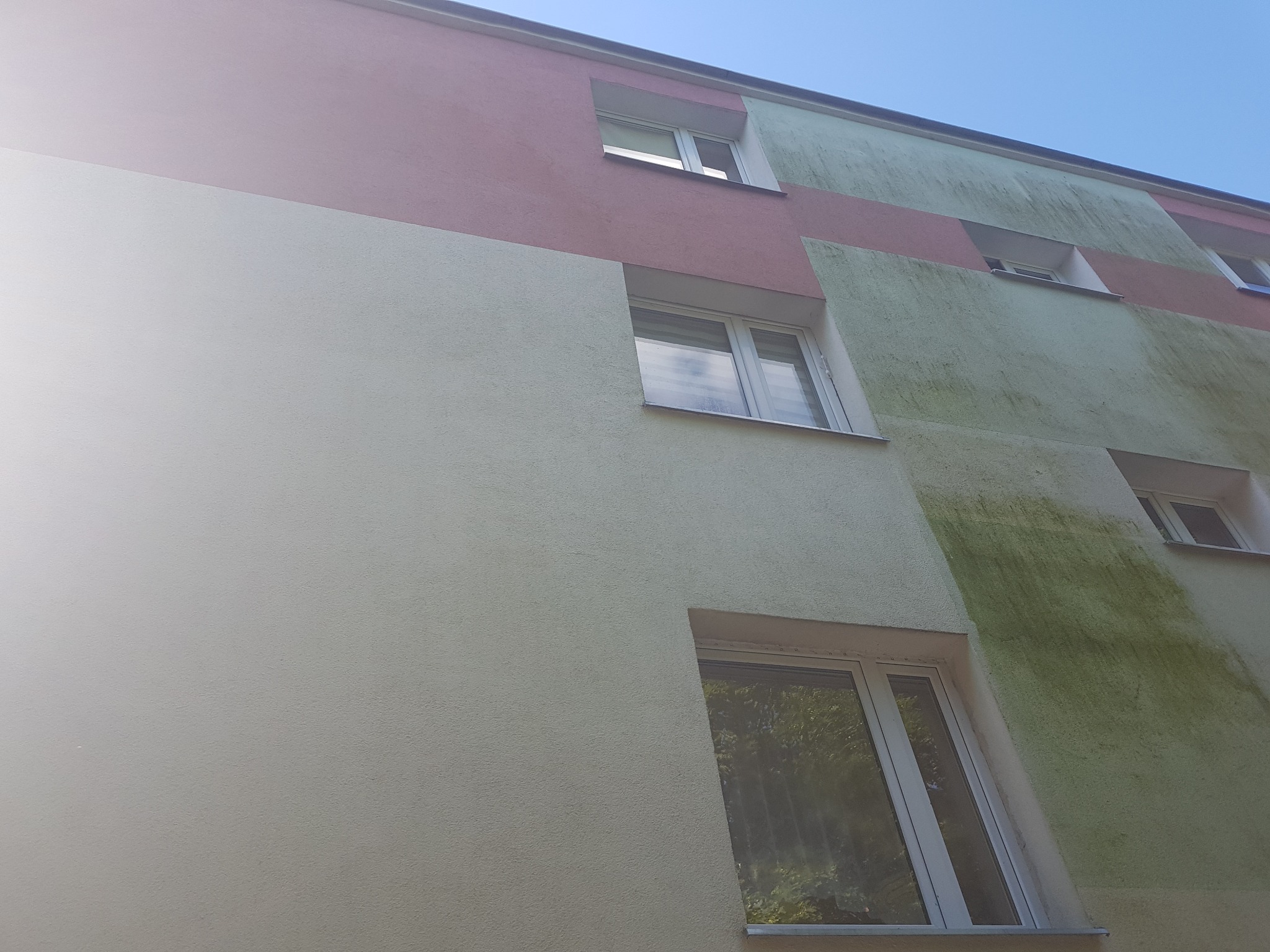 Fragment elewacji budynku wielorodzinnego z widocznymi śladami zabrudzeń biologicznych i przebarwień na zielonej części, kontrastujący z odnowioną, jasną częścią fasady i różowymi akcentami.