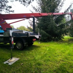 Wycinka drzew Jadwisin 4