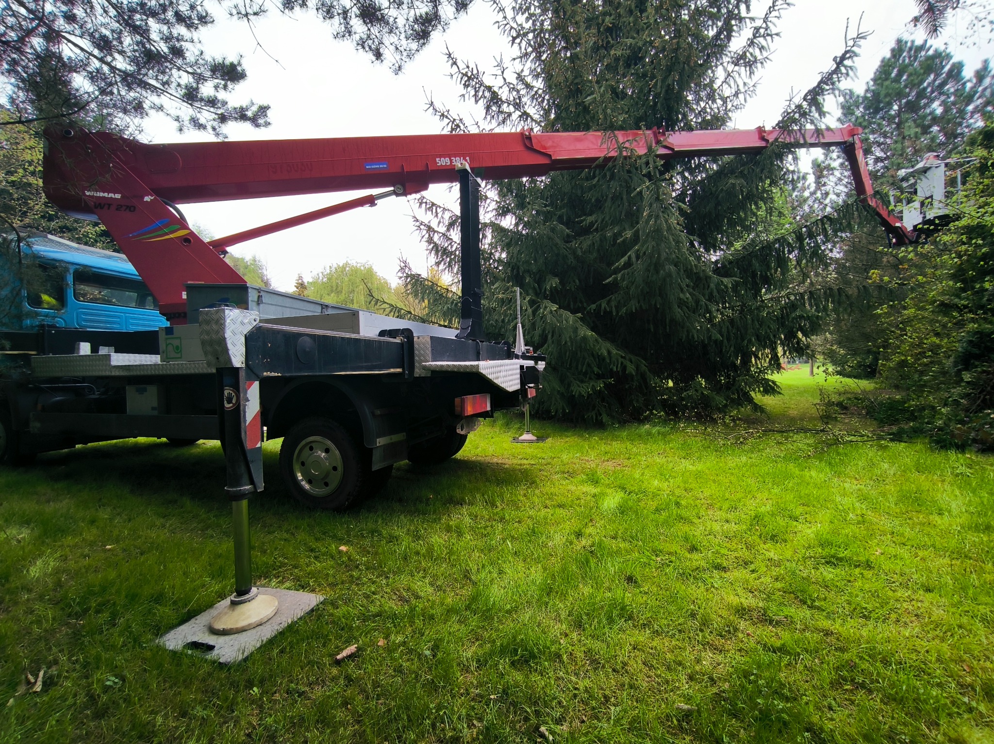 Ciężarówka z podnośnikiem koszowym na trawniku, ramię podnośnika sięga do korony drzewa.