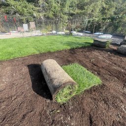 Zakładanie ogrodów Nowa wola 1