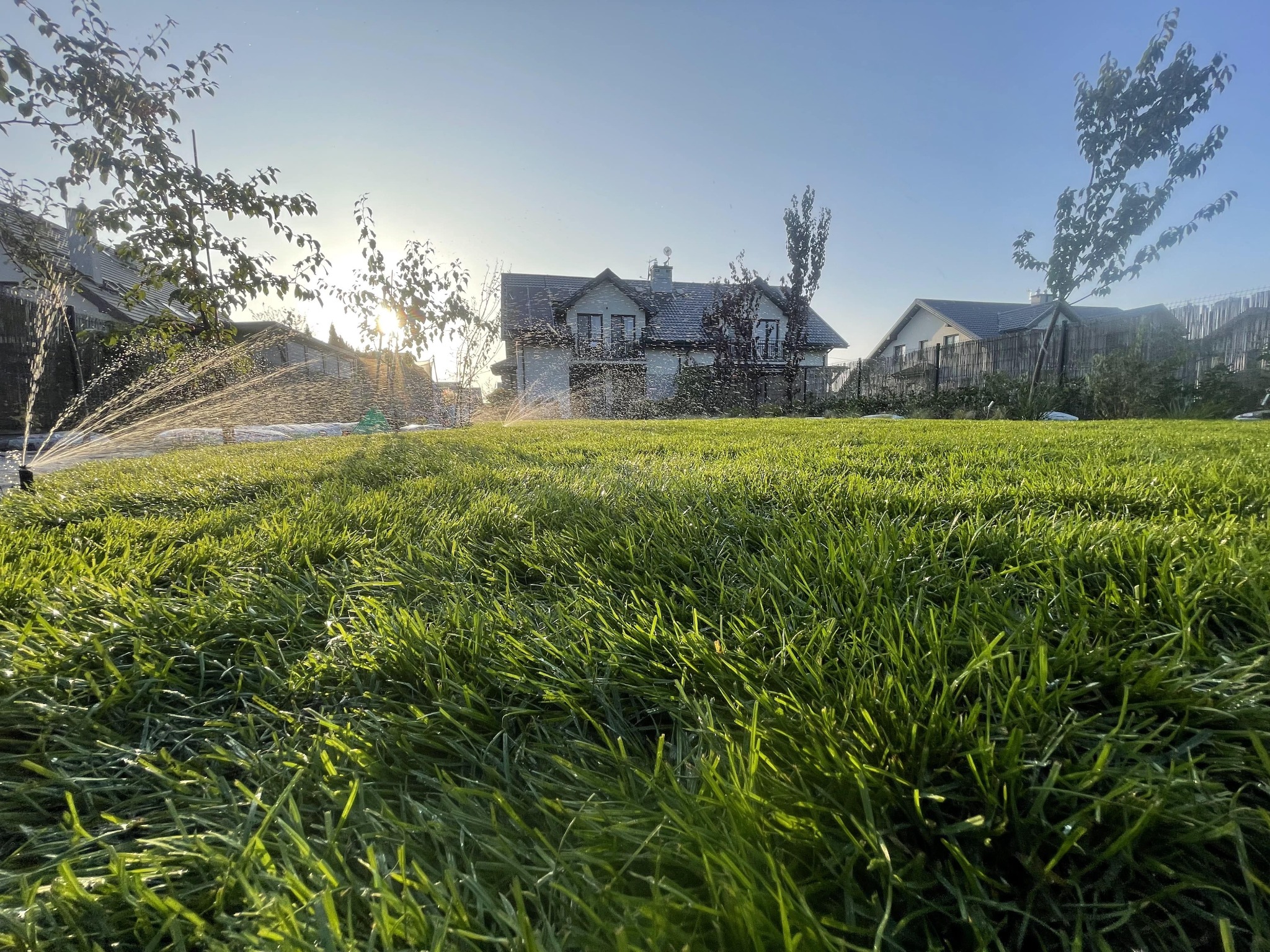 Intensywnie zielony trawnik w promieniach wschodzącego słońca, zraszany przez automatyczny system nawadniania. W tle widoczny nowoczesny dom jednorodzinny z ciemnym dachem i balkonami.