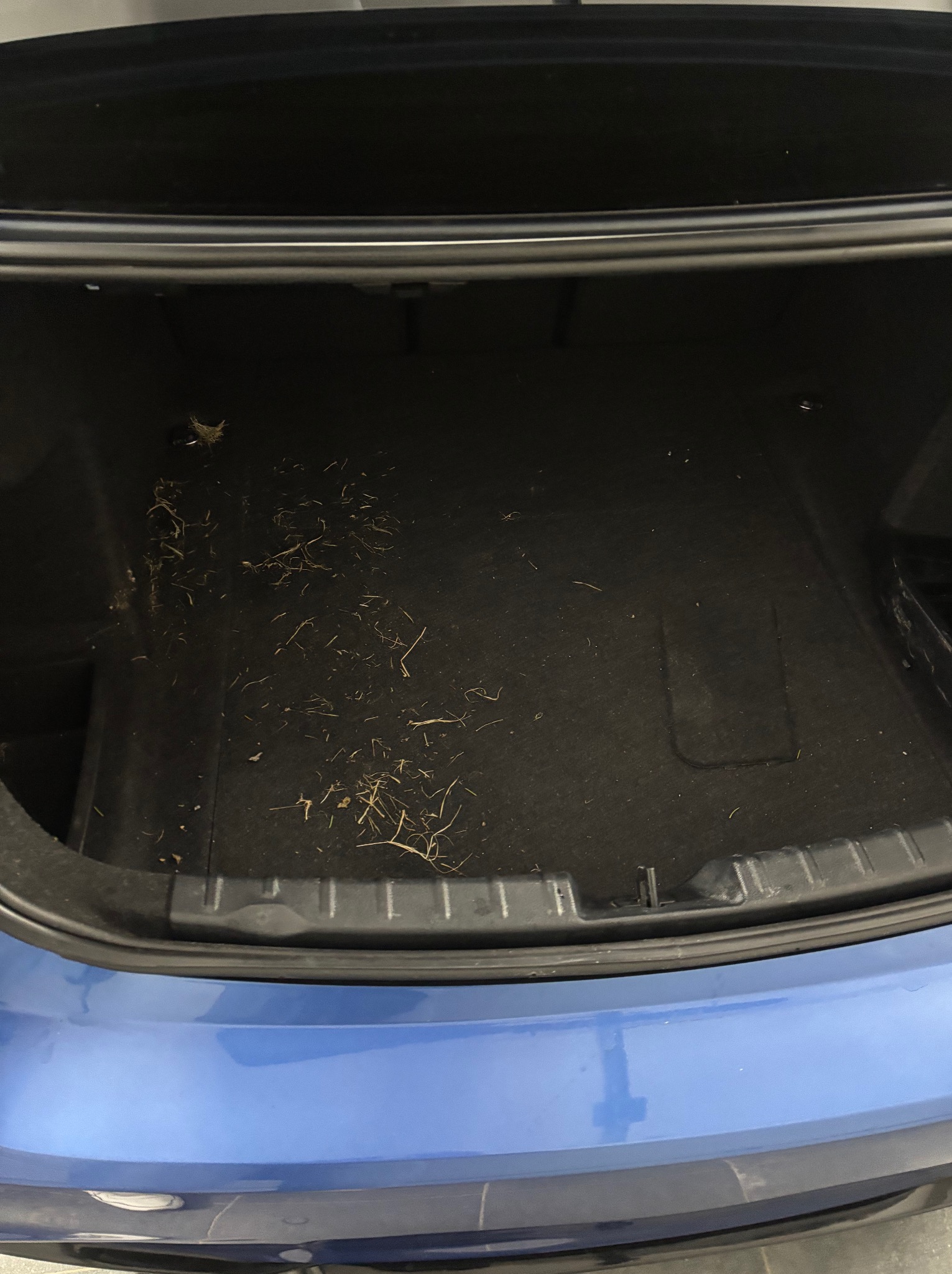 Brudny bagażnik niebieskiego samochodu z resztkami trawy i kurzu. Wnętrze bagażnika wymaga odkurzenia i czyszczenia. Widoczny fragment karoserii.