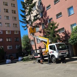 Gregtrans & Cattleya - Żółty podnośnik koszowy na tle bloku mieszkalnego, z pracownikiem przygotowującym się do pracy przy wysokiej sośnie rosnącej blisko budynku.