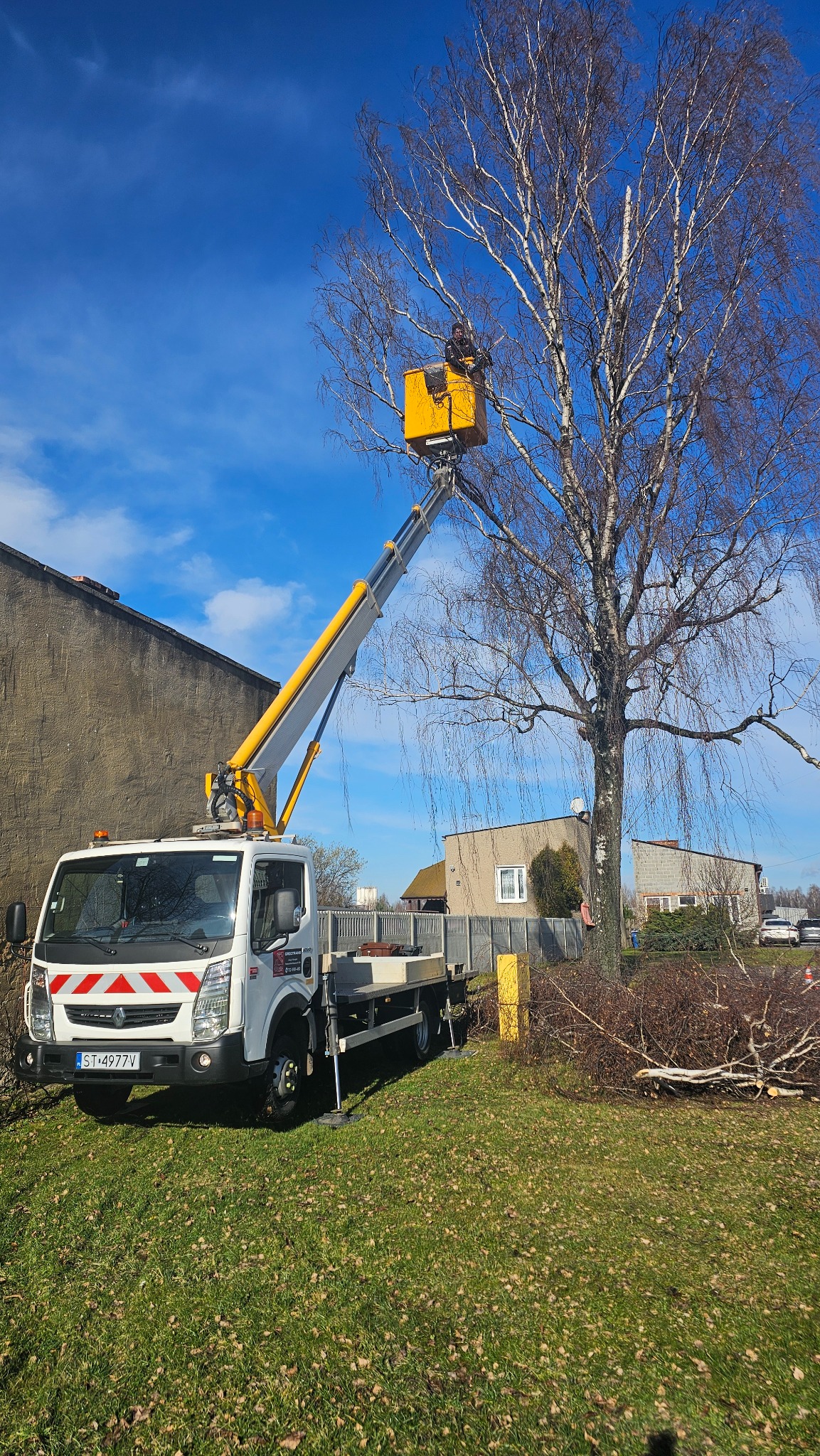 Pracownik w żółtym podnośniku koszowym przycina gałęzie wysokiej brzozy, zrębki leżą na trawie, widoczny budynek mieszkalny w tle.