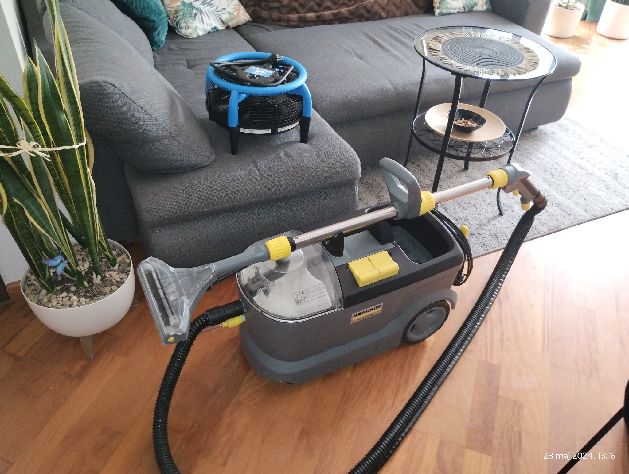 Profesjonalny odkurzacz piorący Kärcher z przezroczystym zbiornikiem na wodę, stojący na drewnianej podłodze w salonie, obok szarej kanapy i rośliny doniczkowej w białej osłonce, z widocznym...