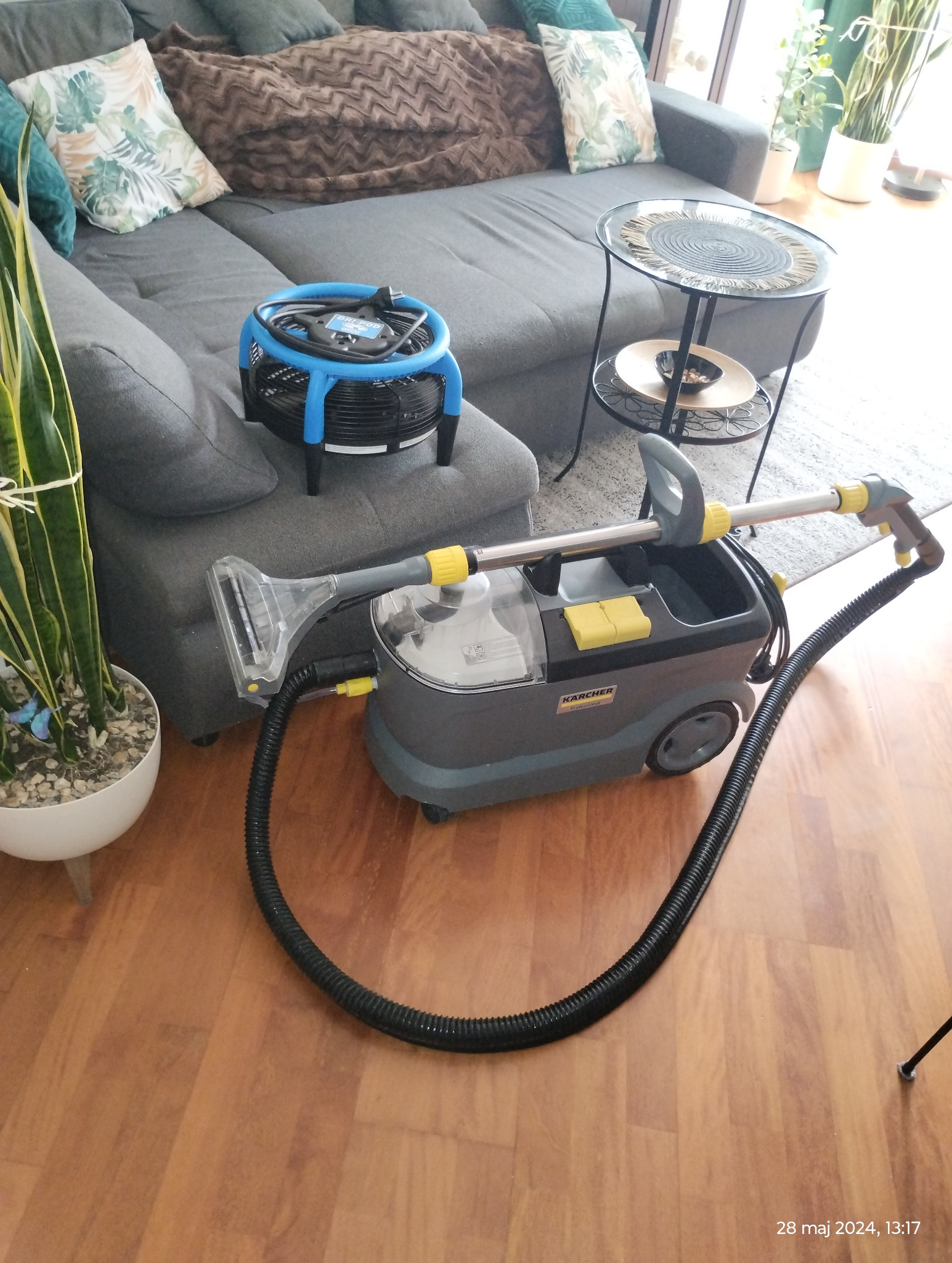 Profesjonalny odkurzacz piorący Kärcher Professional na drewnianej podłodze, obok szarej sofy z poduszkami i małego stolika, z niebieskim wentylatorem wspomagającym suszenie.