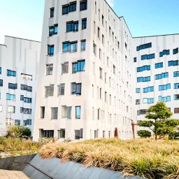 Sprzątanie mieszkań Węgierki 2